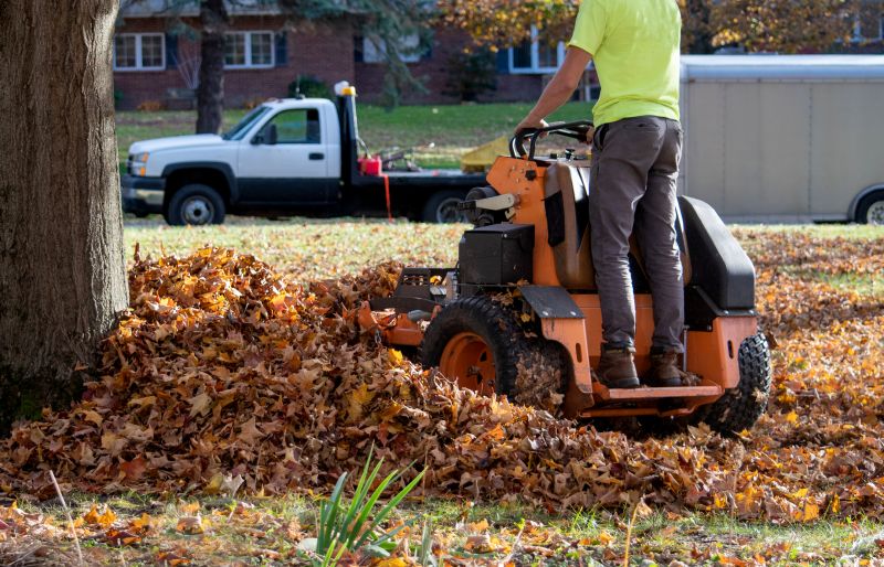 Leaf Hauling
