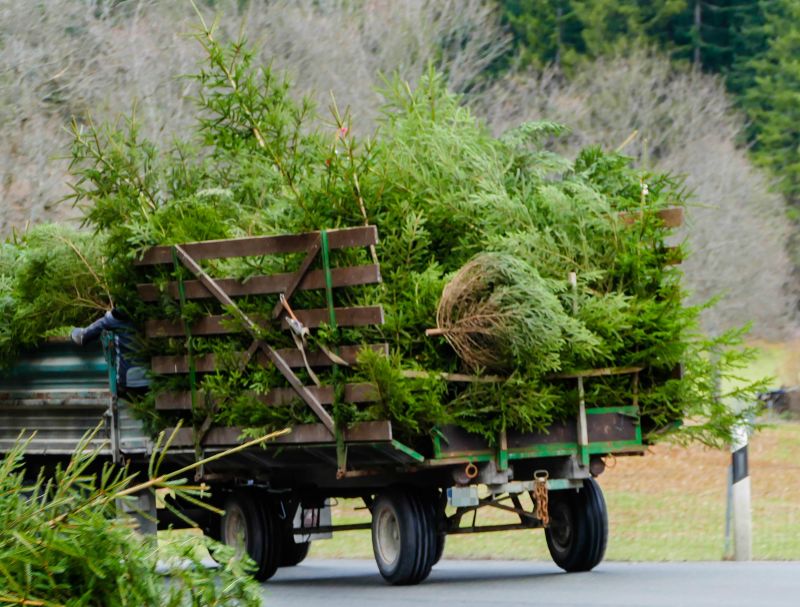 Leaf Hauling