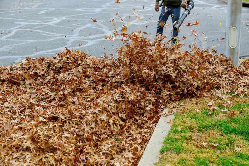 Leaf Hauling