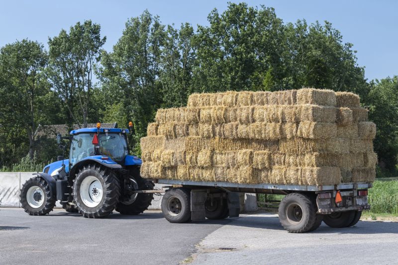 Leaf Hauling Cost Insights — Cost of Leaf Hauling