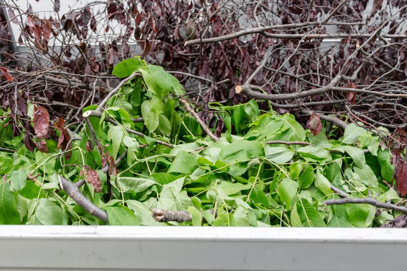 Leaf Hauling Cost Insights — Cost of Leaf Hauling