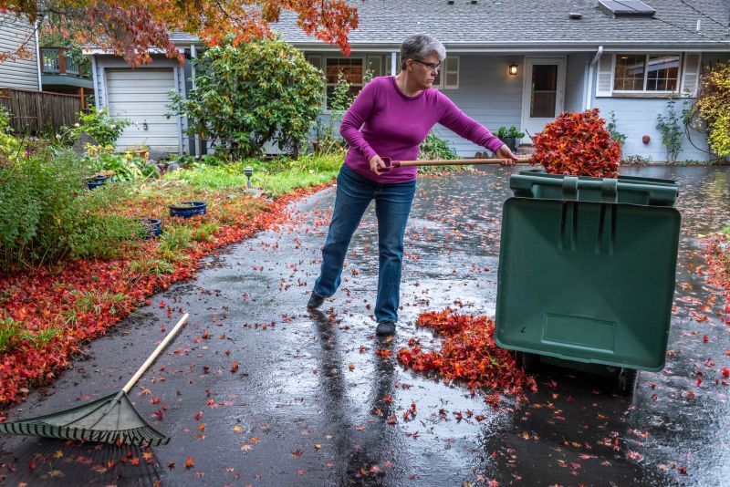 Yard Cleanup Crews